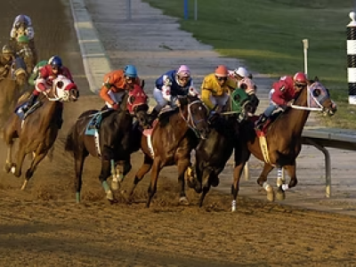 imgi_28_Reddy-Anna-Horse-racing-betting imgi_28_Reddy-Anna-Horse-racing-betting